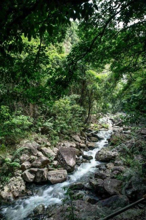 南京紫金山雾凇景观呈现北国风光